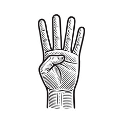 Antique engraved illustration from four finger counting engraving vector illustration. Scratch board style imitation. 