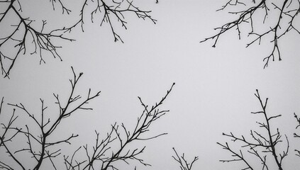Obraz premium Silhouetting bare tree branches and twigs against pale gray sky, creating stark linear pattern