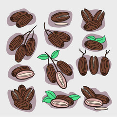 Simple Flat Color Date Fruit Icons with Black Outline and Abstract Background