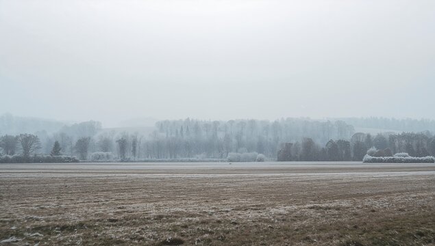 Spreading open frosty field revealing stubble and grass on flat winter plain, with treeline mist - Powered by Adobe