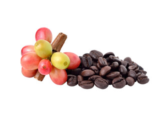 coffee beans and red ripe coffee transparent png