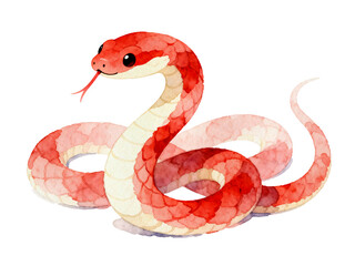 Fototapeta premium Serpent in Watercolor: A vibrant watercolor illustration of a charming snake, displaying vivid red and pink hues, poised in a delicate pose. 