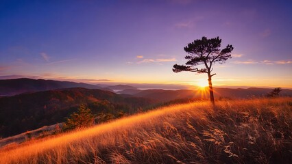 A plant on a hill side