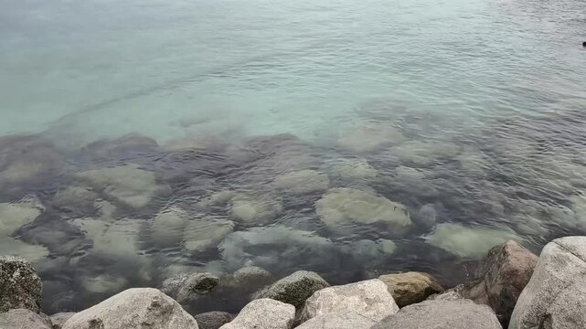 a rocky shoreline leading into clear, shallow and transparent water.some green vegetation is visible.water surface