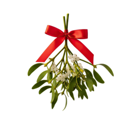 A mistletoe branch with a red ribbon tied around it.