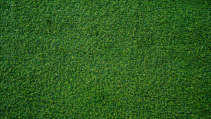Green grass background, top view background of garden bright grass concept used for making green backdrop. © somchai