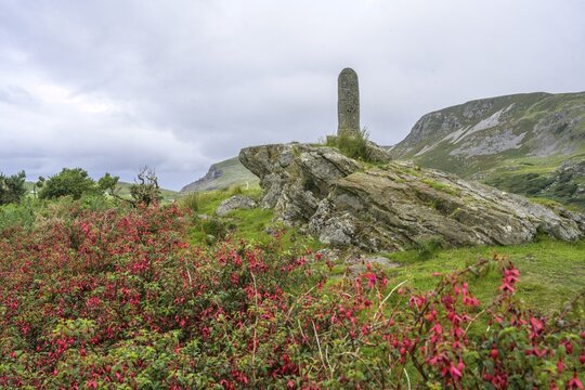 Fuchsia Hedges and Turas Cholmcille Town, Glencolumbkille, County Donegal, Ireland