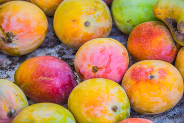 Agriculture fruits farm, fresh colored Mango food, juicy fruit,  vitamins and minerals, green tree,...