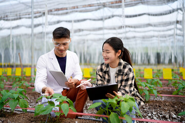 Practical agricultural studies of adolescent students, with scientists providing guidance, demonstrating hypotheses on soil sampling and data recording in greenhouse. Hands on training in high school