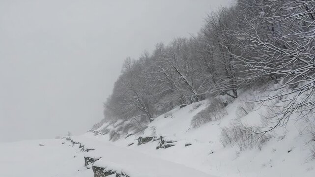 Falling snow coating snowy bluff and tree line on coast, dusting rocks and branches, copy space