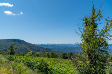 Obraz premium Vast Wilderness Landscape in Shenandoah National Park