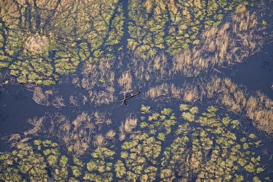 Marshland, marshland, Kavango fishermen with dugout boat, Mokoro, aerial view, Okavango Delta, Botswana