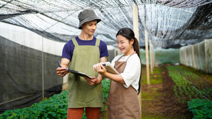Two young farmer male And female standing at greenhouse to calculate production in field. vegetable...