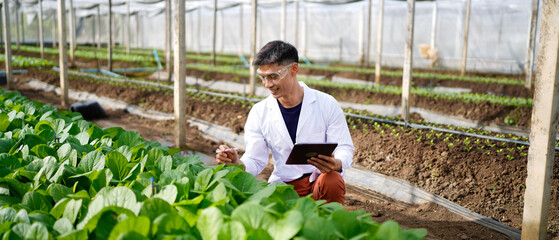 Agricultural developer handsome man trying different apps on tablet computer for advanced chemical inspection of greenhouse farm. Organic plantation. Greenery.