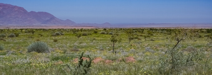 Namibia, the desert of Spitzkoppe in Damaraland, beautiful landscape
