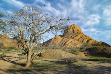 Namibian the rocks of Spitzkoppe in Damaraland, landscape with a tree
