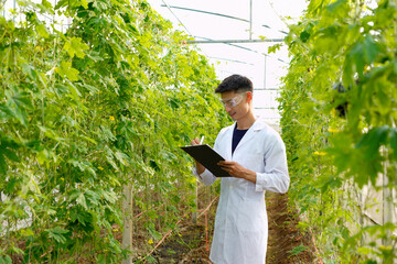 man scientist wearing white medical gown analyzing quality of vegetable and plant and then writing results in document on clipboard