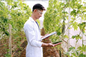man scientist wearing white medical gown analyzing quality of vegetable and plant and then writing results in document on clipboard