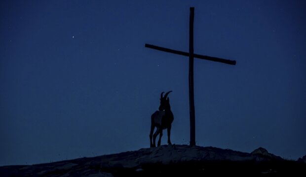 Alpine ibex (Capra ibex) silhouette at night next to a summit cross in front of a starry sky, Valais Alps, Valais, Switzerland