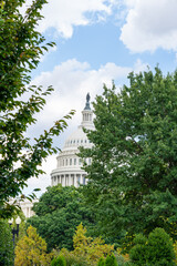 U.S. Capitol Dome Framed by Trees Under Cloudy Sky