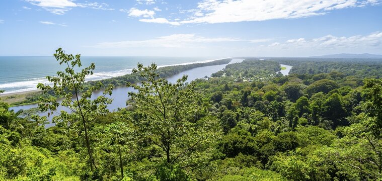 View of the rainforest from Cerro Tortuguero, Tortuguero National Park, Costa Rica