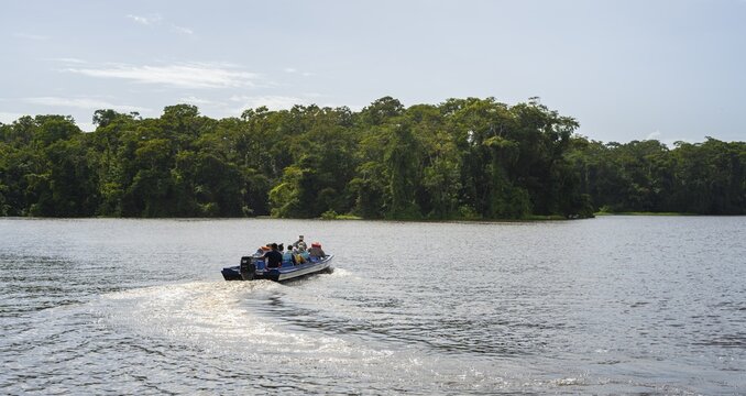 Tourists explore the river in the rainforest by boat, dense vegetation, Tortuguero National Park, Costa Rica