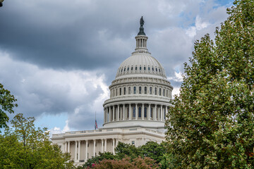 U.S. Capitol Dome Framed by Trees Under Cloudy Sky