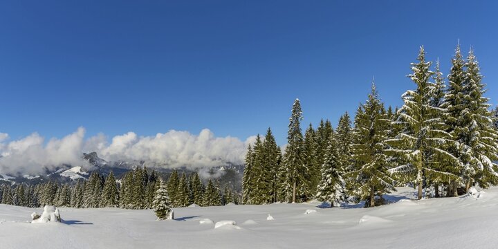 Panorama H&ouml;henweg, Kleinwalsertal, Allg&auml;u Alps, Vorarlberg, Austria