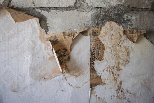 Old newspapers on the wall from the USSR, Abandoned ruins, Ghost town Enilchek in the Tien Shan Mountains, Ak-Su, Kyrgyzstan