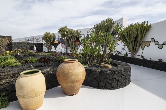 Garden in the inner courtyard of the Fundacion Cesar Manrique, Lanzarote, Canary Islands, Spain