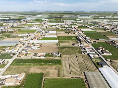 The semi rural district of La Algaida with its cultivated fields next to Sanl&uacute;car de Barrameda. Aerial view. Drone shot. C&aacute;diz province, Andalusia, Spain
