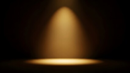 A single spotlight illuminates a circular area on a dark stage, creating a focused beam of warm light.