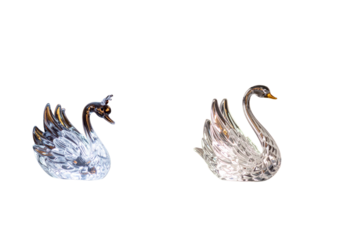 The image of beautiful and lovely swans on a white background is a symbol of love