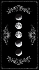 floral frame with floral elements