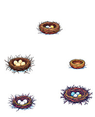 Vsai bird nests with eggs representing new life and spring