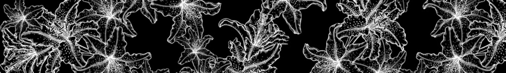 High contrast panoramic pattern of white lily outlines on a black background