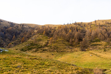 Fototapeta premium autumn landscape in the mountains