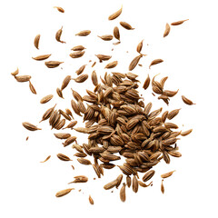 Cumin seeds pile on black background
