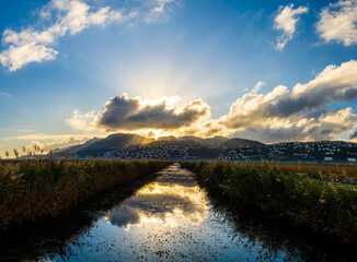  Landscape with wetlands in Marjal Pego Oliva, in Comunidad Valenciana (Spain) 