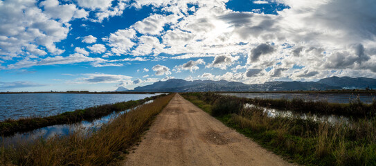 Landscape with wetlands in Marjal Pego Oliva, in Comunidad Valenciana (Spain) 