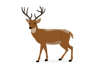 Reindeer Deer wild Side View forest animal vector icon, Cervid Animal zoo mammal
and hunt Antlers trophy reindeer