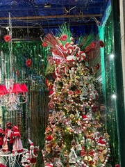 Winter season in Quebec City, Canada 