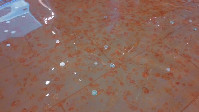 A shimmering fountain surface scattered with coins reflecting light, symbolizing wishes and luck.