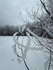Laurentian forest in winter, Quebec, Canada