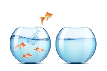 Fish jumps from one aquarium to another. Vector illustration isolated on a white background.