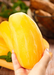 Fresh Yellow Mango in Hand - Healthy Organic Fruit