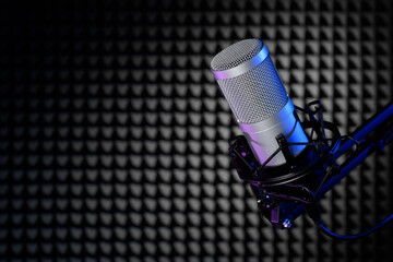 Professional condenser microphone in an acoustically treated studio.