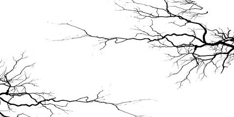 Tree branches abstract background