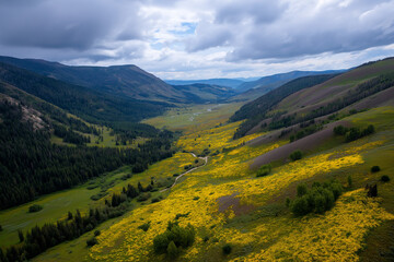 Obraz premium An expansive valley nestled between majestic mountains is adorned with fields of vibrant wildflowers, presenting an enchanting view of nature's untouched beauty and grandeur.