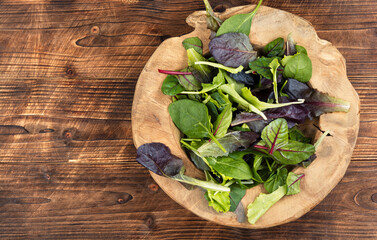 Green salad, fresh salad leaves.